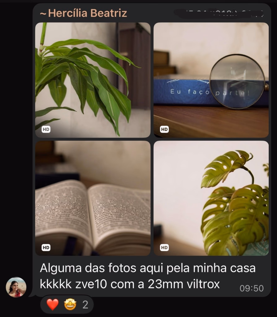 Criadora
